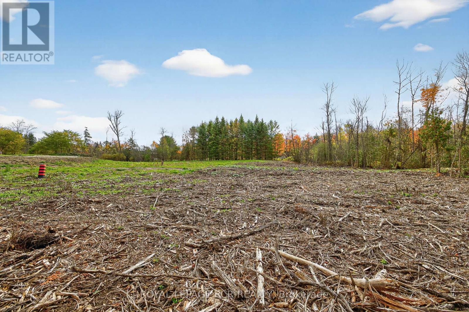 4560 Anderson St Street, Whitby, Ontario  L1R 2W1 - Photo 35 - E12485462