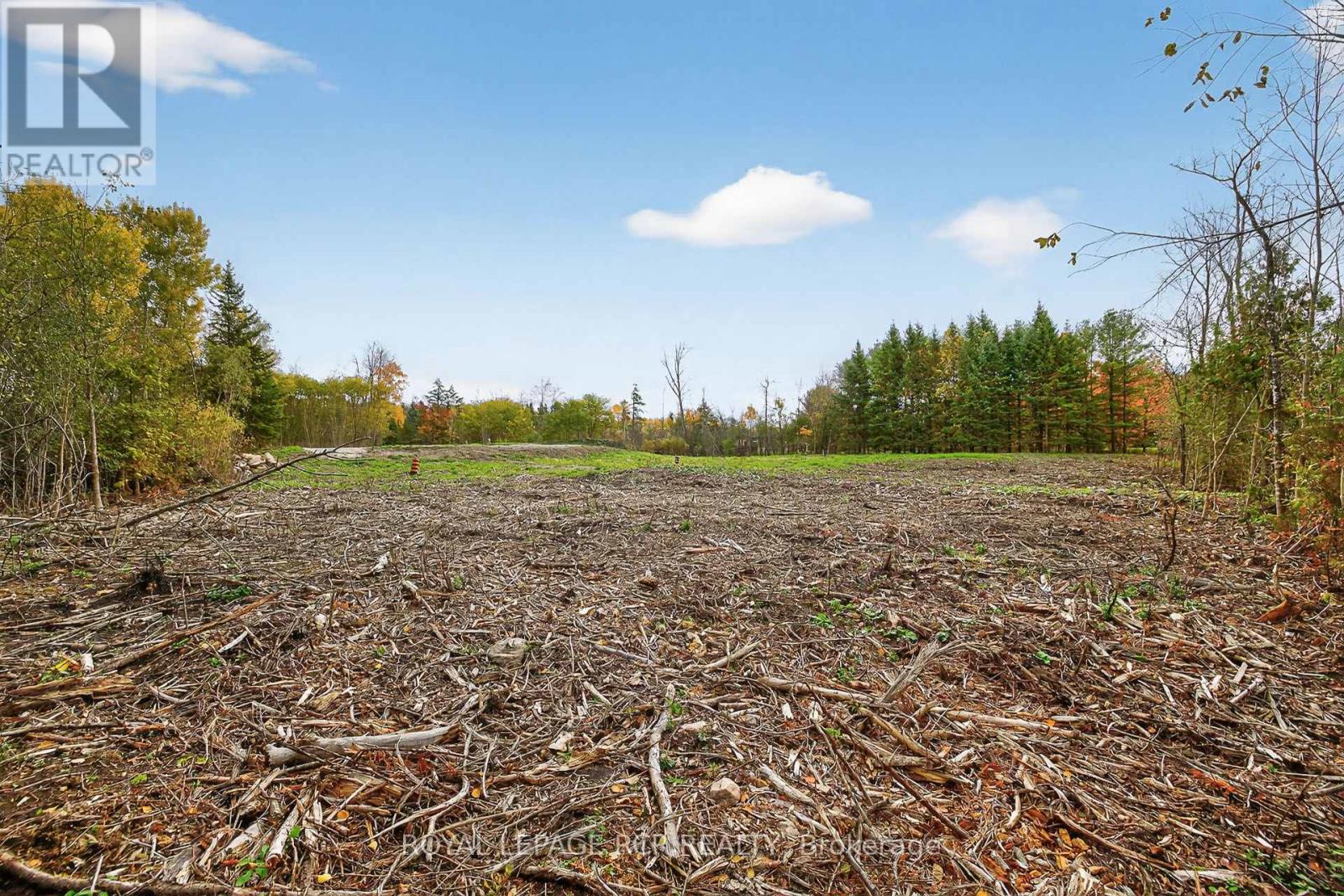 4560 Anderson St Street, Whitby, Ontario  L1R 2W1 - Photo 36 - E12485462