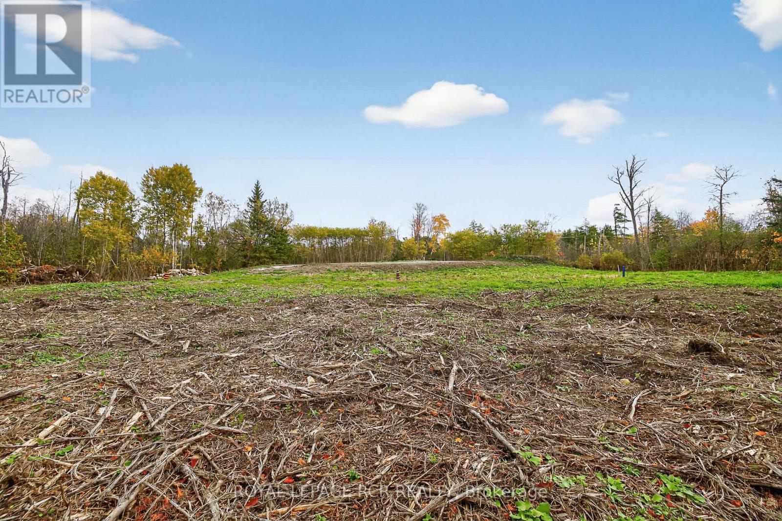 4560 Anderson St Street, Whitby, Ontario  L1R 2W1 - Photo 37 - E12485462