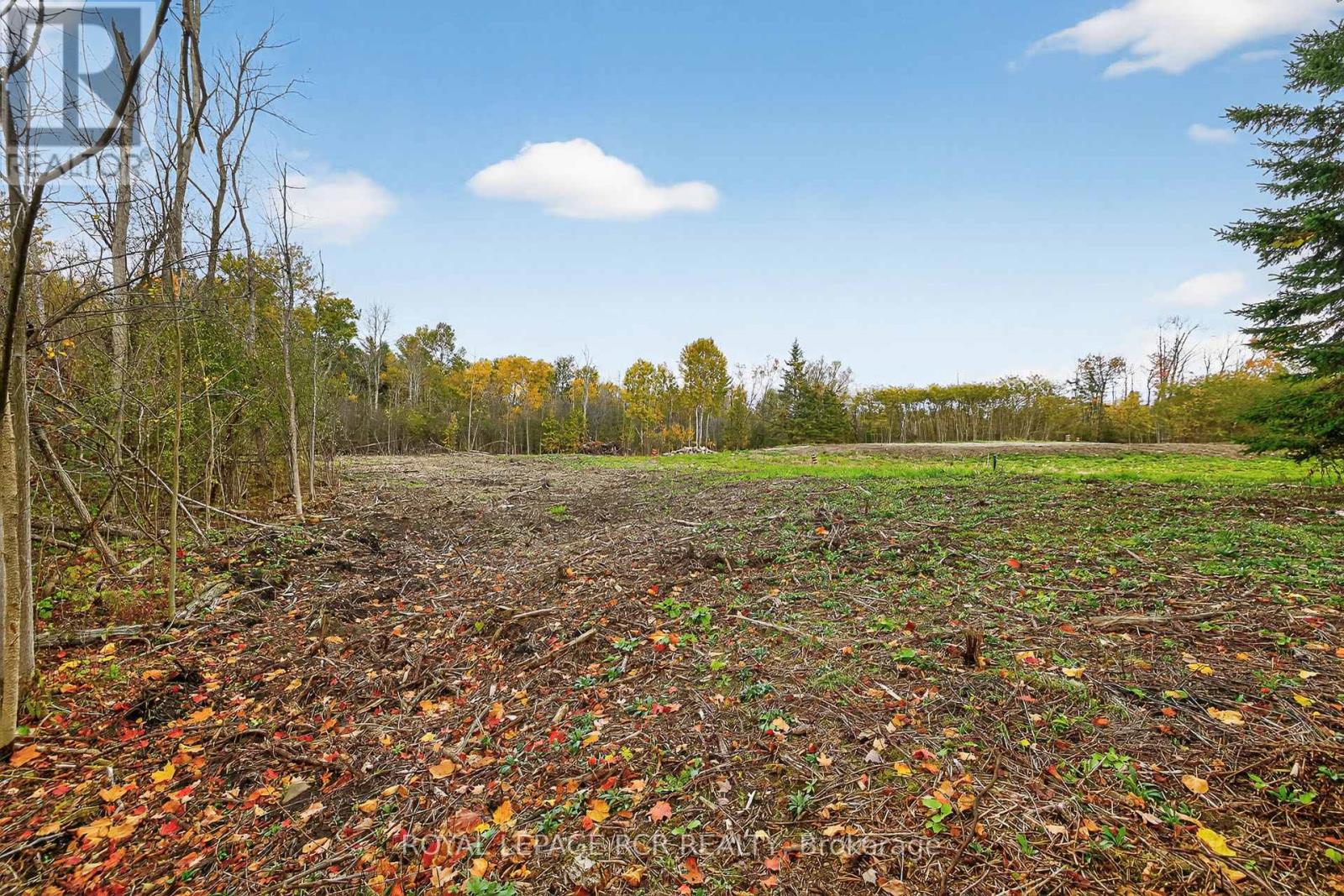 4560 Anderson St Street, Whitby, Ontario  L1R 2W1 - Photo 38 - E12485462