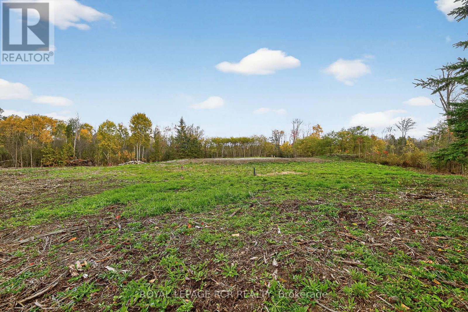 4560 Anderson St Street, Whitby, Ontario  L1R 2W1 - Photo 39 - E12485462