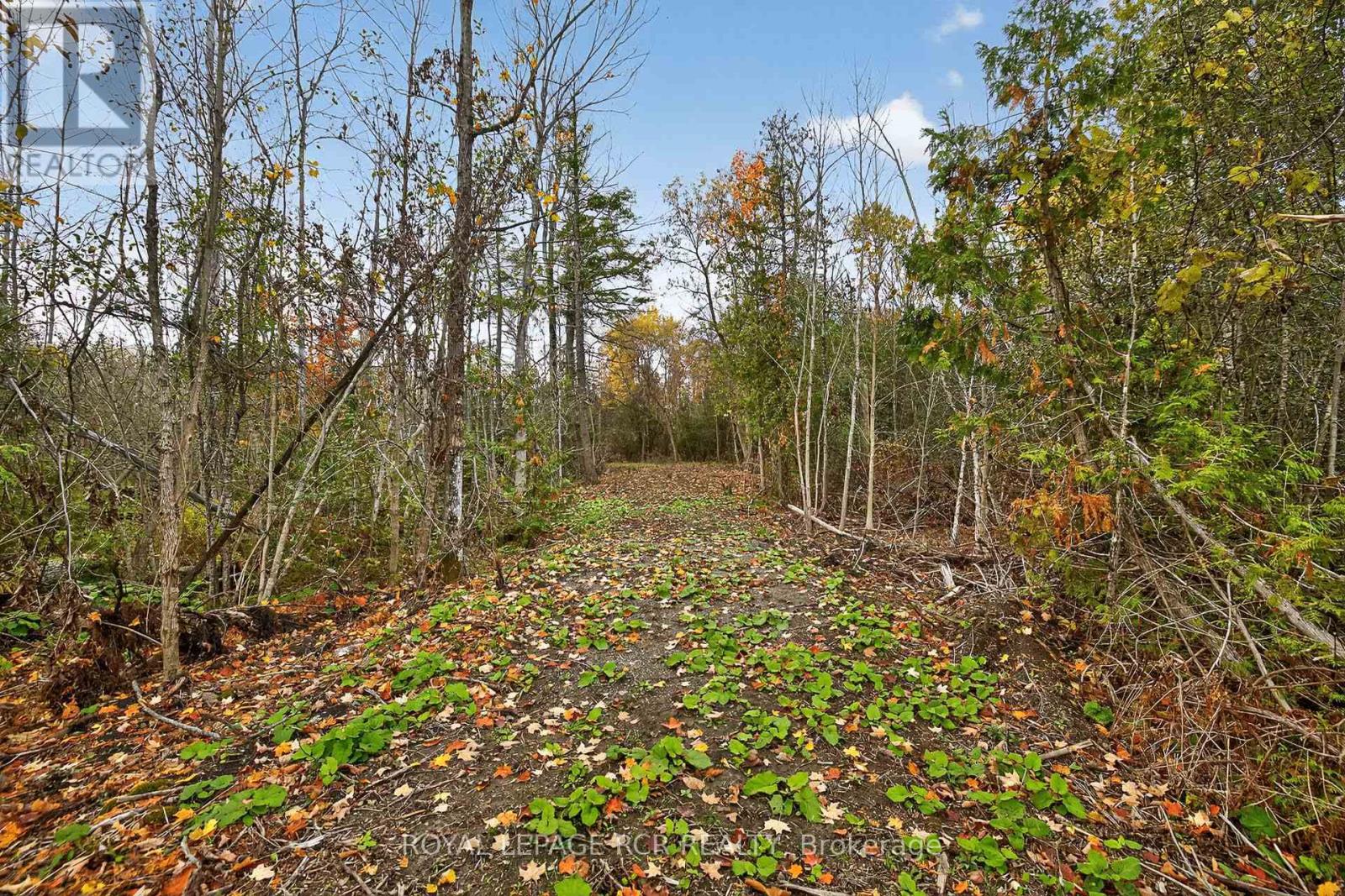 4560 Anderson St Street, Whitby, Ontario  L1R 2W1 - Photo 41 - E12485462