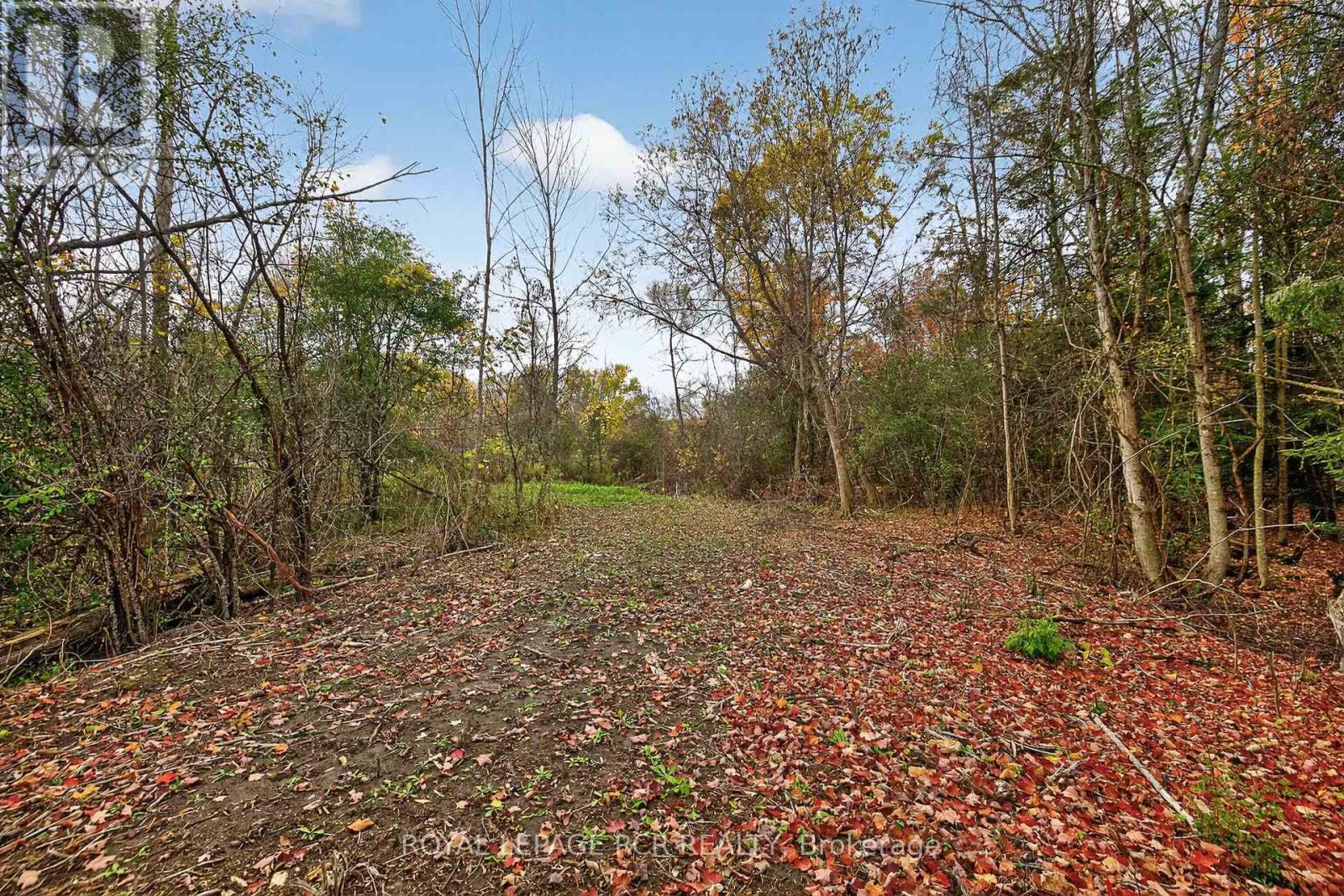 4560 Anderson St Street, Whitby, Ontario  L1R 2W1 - Photo 42 - E12485462