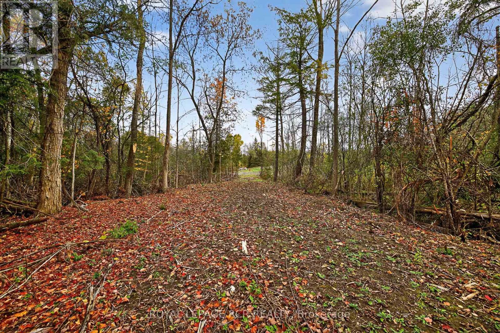 4560 Anderson St Street, Whitby, Ontario  L1R 2W1 - Photo 43 - E12485462