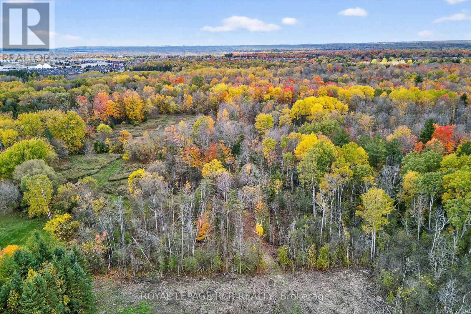 4560 Anderson St Street, Whitby, Ontario  L1R 2W1 - Photo 49 - E12485462