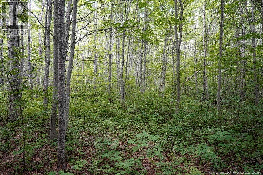 5716 Rte 495, Saint-Fabien, New Brunswick  E4S 2T2 - Photo 6 - NB129166
