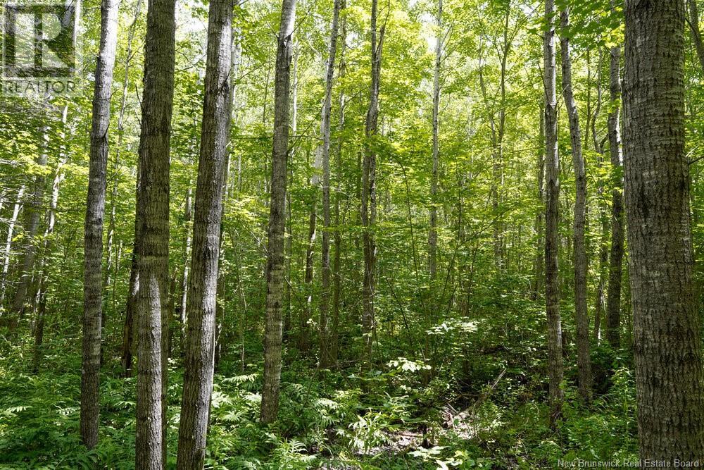 5716 Rte 495, Saint-Fabien, New Brunswick  E4S 2T2 - Photo 7 - NB129166
