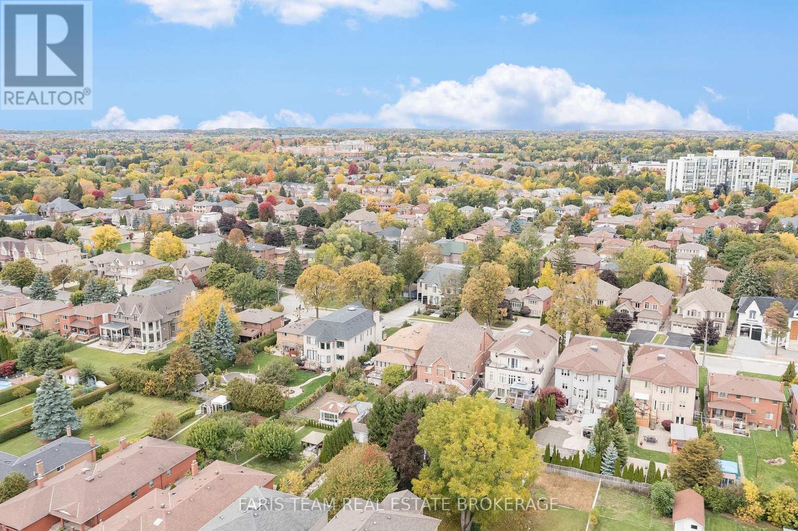 52 May Avenue, Richmond Hill, Ontario  L4C 3S6 - Photo 38 - N12485436