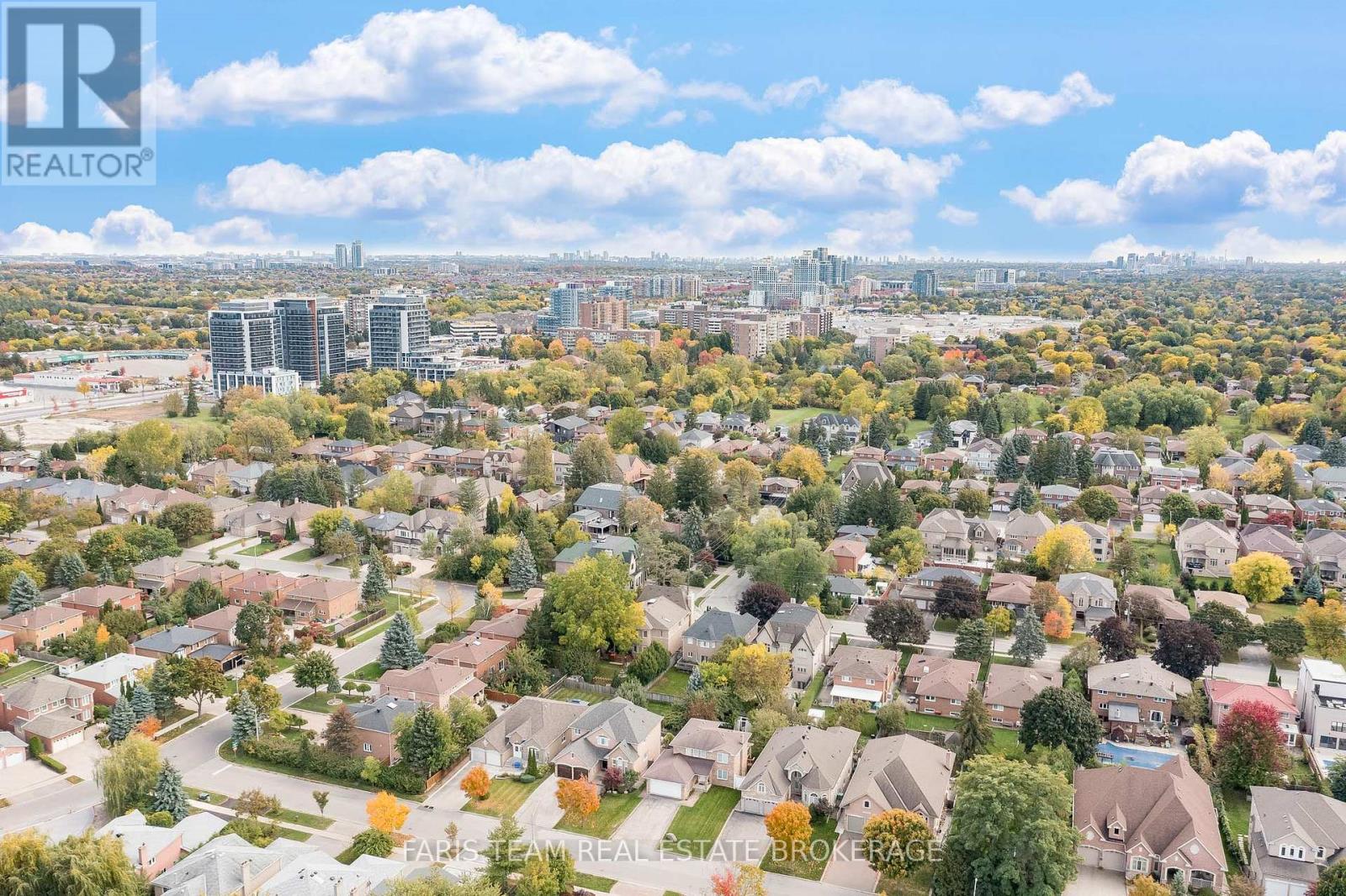 52 May Avenue, Richmond Hill, Ontario  L4C 3S6 - Photo 40 - N12485436