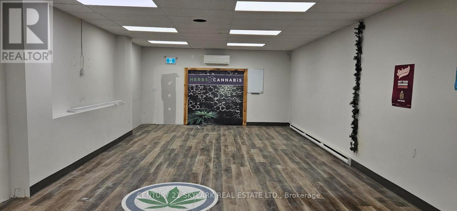 #main - 2413 St Clair Avenue W, Toronto, Ontario  M6N 1K9 - Photo 7 - W12485399