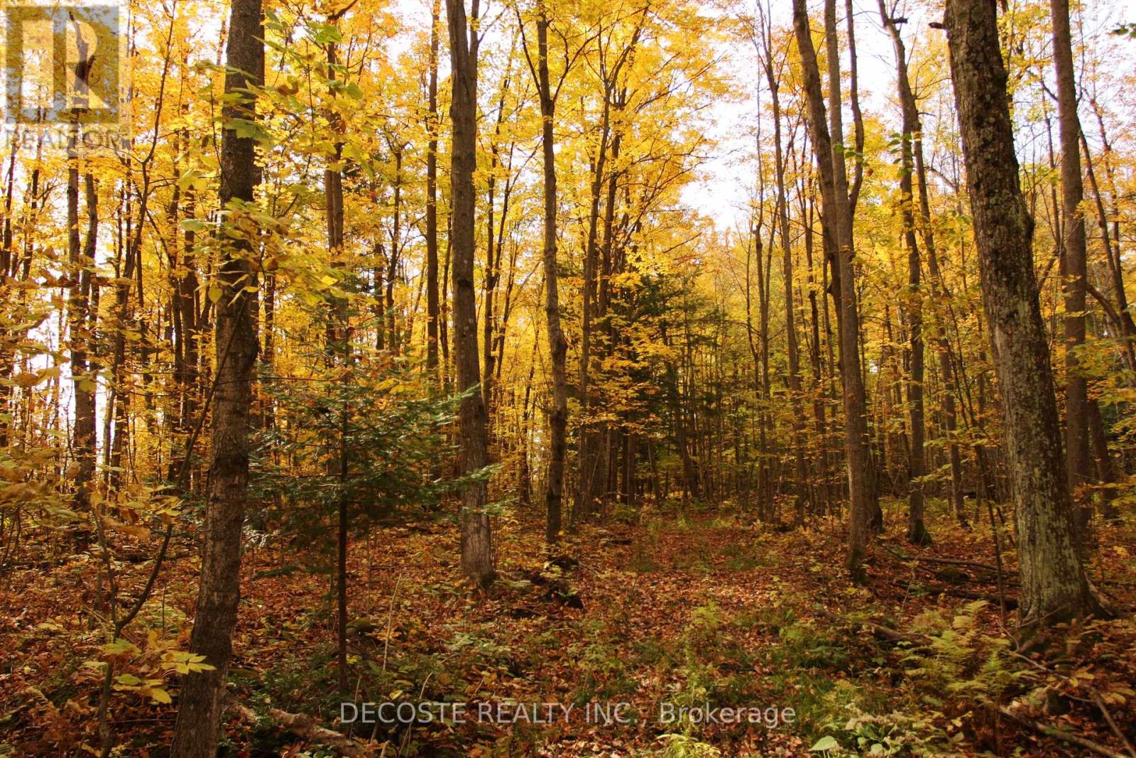 0000 County 43 Road, North Glengarry, Ontario  K0C 1A0 - Photo 23 - X12485555