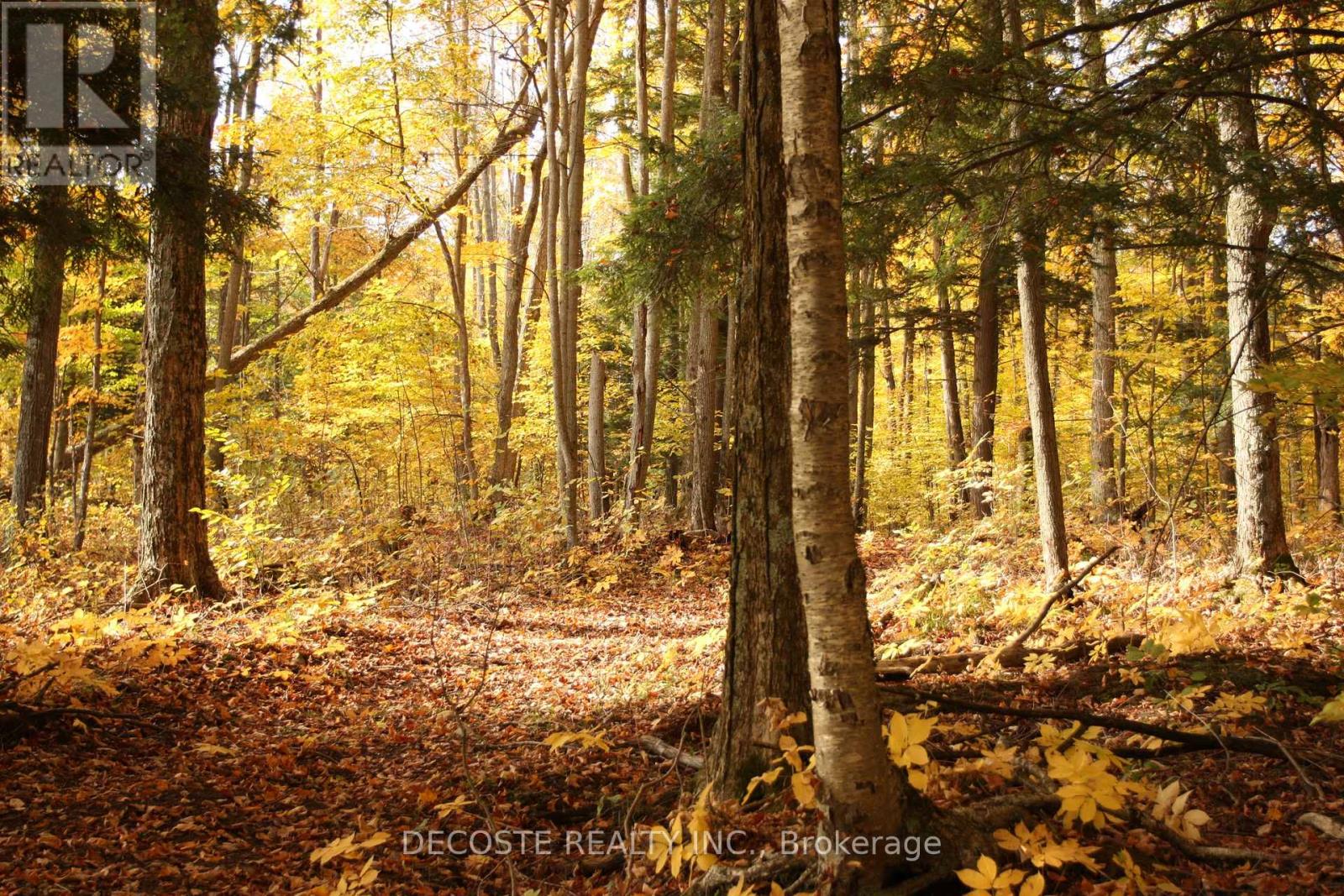 0000 County 43 Road, North Glengarry, Ontario  K0C 1A0 - Photo 24 - X12485555