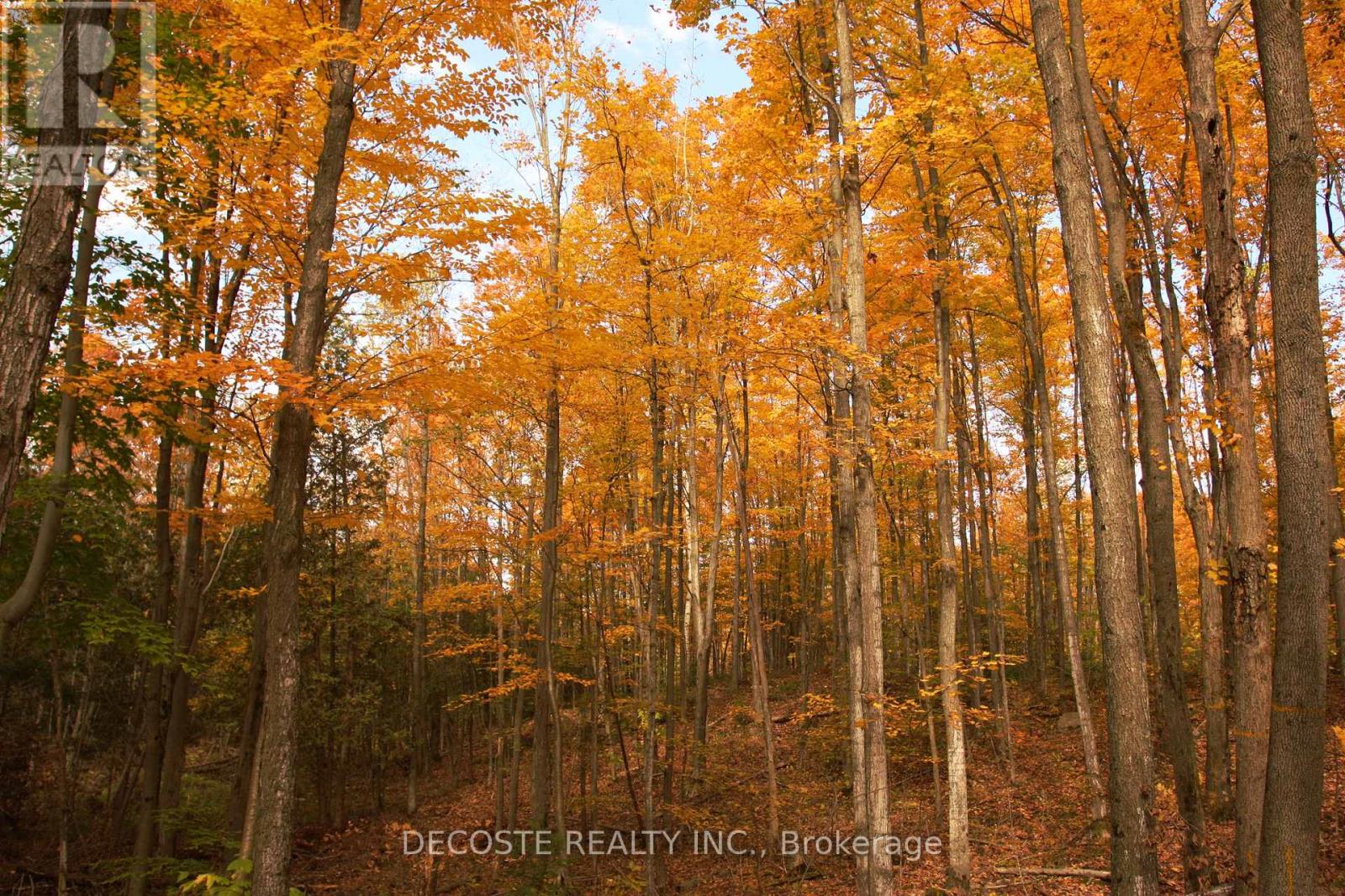 0000 County 43 Road, North Glengarry, Ontario  K0C 1A0 - Photo 25 - X12485555