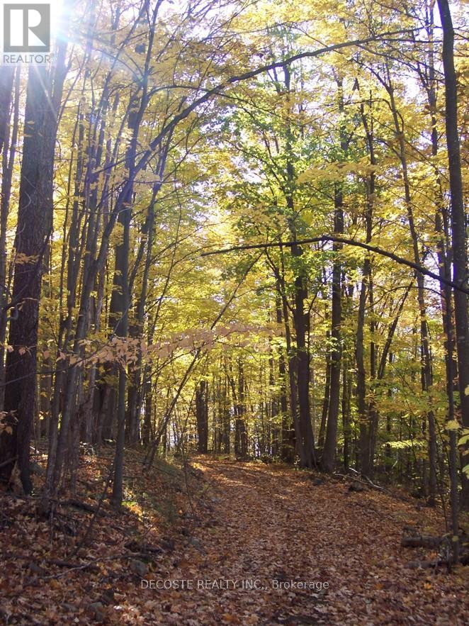 0000 County 43 Road, North Glengarry, Ontario  K0C 1A0 - Photo 4 - X12485555