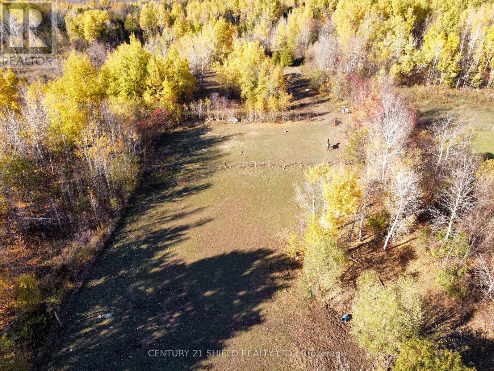 16297 Northfield Road, South Stormont, Ontario  K0C 1Y0 - Photo 32 - X12485561