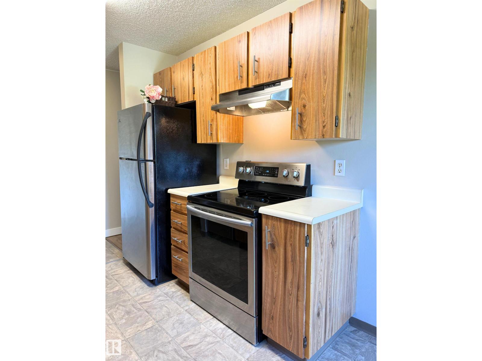#303 10842 107 St Nw, Edmonton, Alberta  T5H 2Z3 - Photo 3 - E4463742