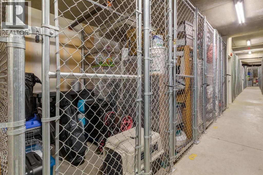 216, 2233 34 Avenue Sw, Calgary, Alberta  T2T 6N2 - Photo 27 - A2261449