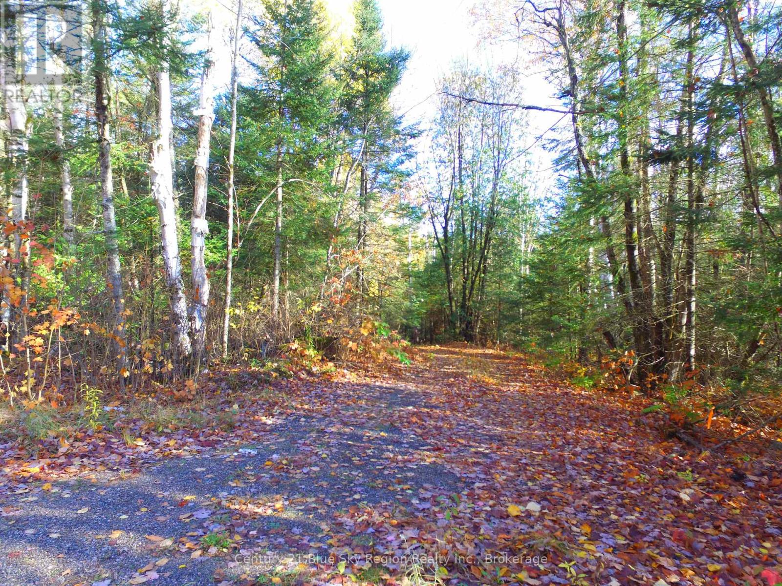 PT LT 2 CON 4 MCFADDEN LINE, Parry Sound Remote Area, Ontario