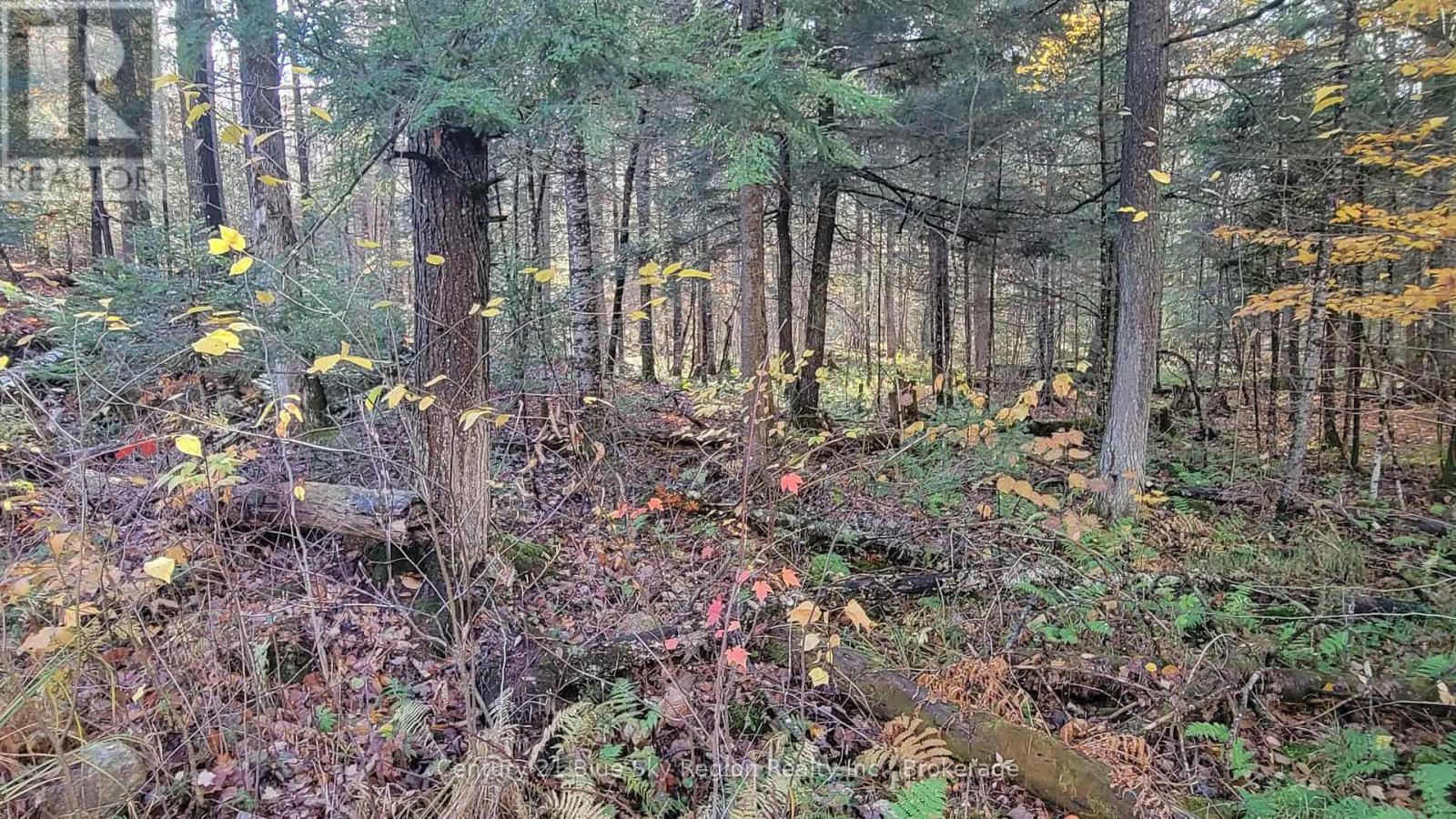 Pt Lt 2 Con 4 Mcfadden Line, Parry Sound Remote Area, Ontario  P0H 2L0 - Photo 16 - X12485719