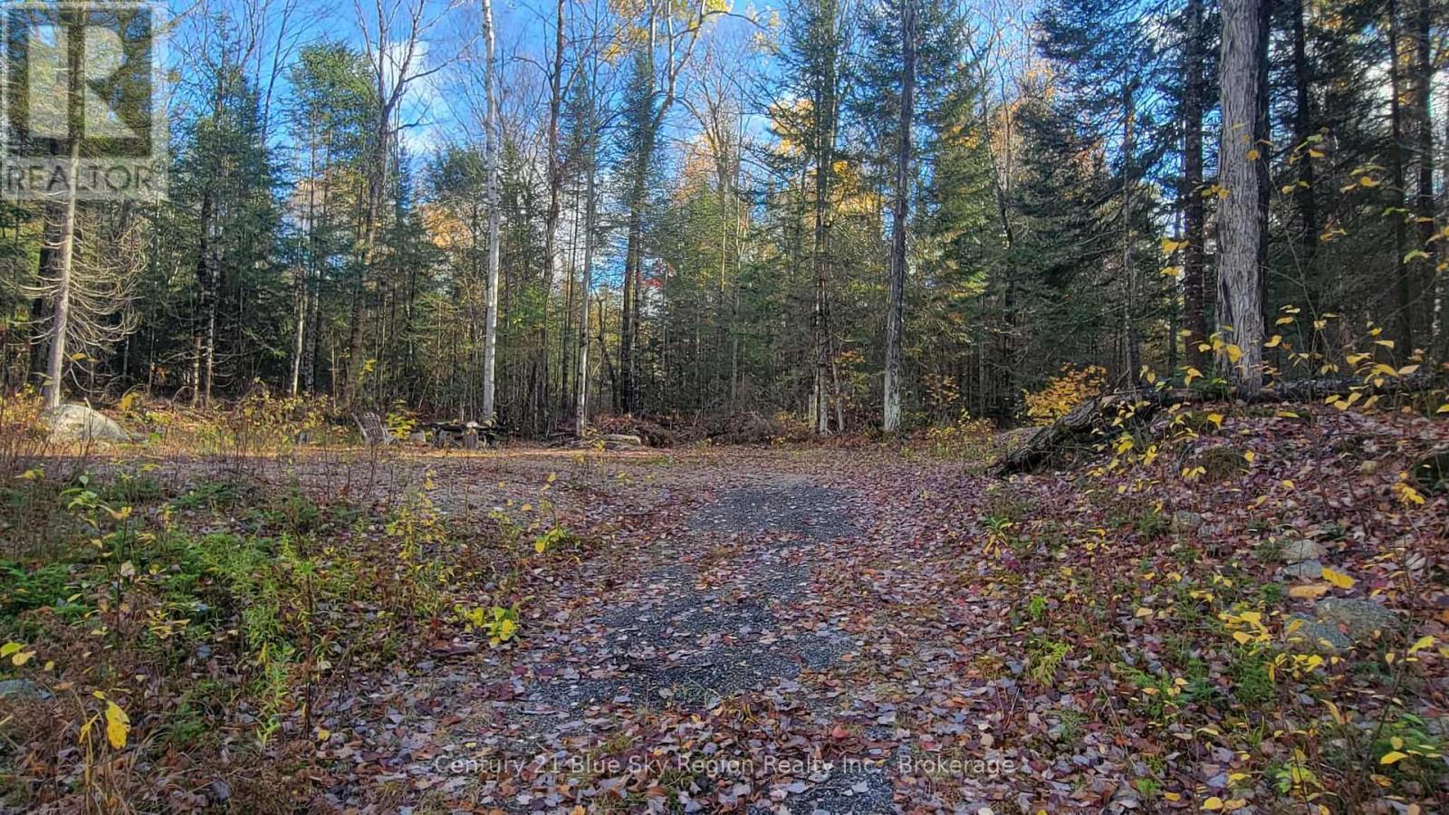 Pt Lt 2 Con 4 Mcfadden Line, Parry Sound Remote Area, Ontario  P0H 2L0 - Photo 10 - X12485719