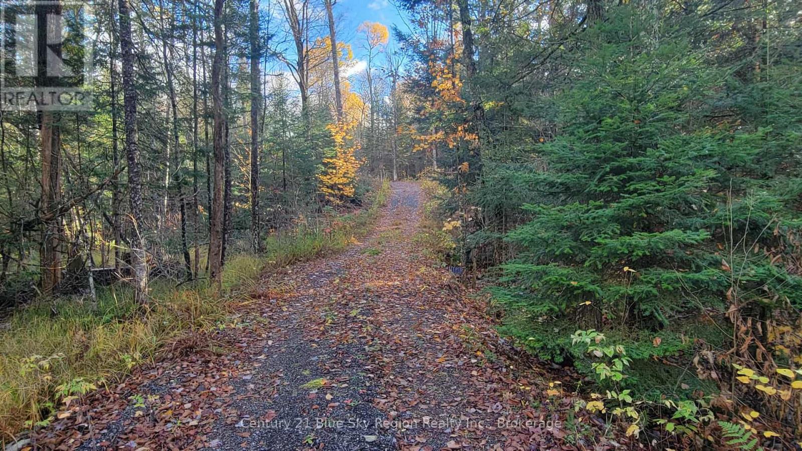 Pt Lt 2 Con 4 Mcfadden Line, Parry Sound Remote Area, Ontario  P0H 2L0 - Photo 18 - X12485719