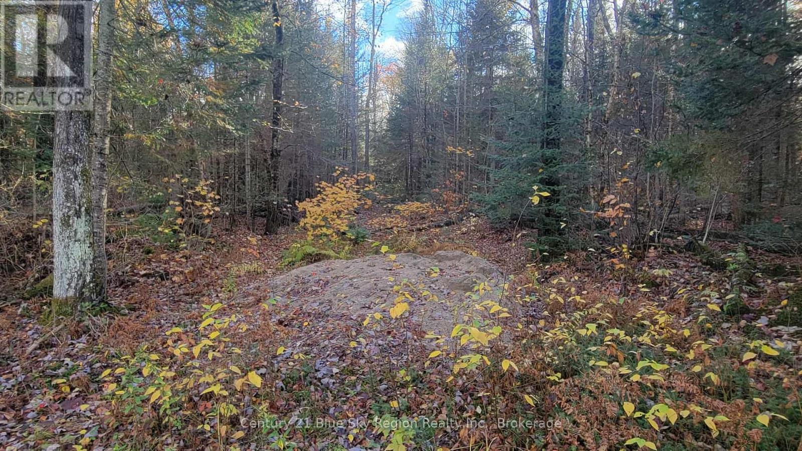 Pt Lt 2 Con 4 Mcfadden Line, Parry Sound Remote Area, Ontario  P0H 2L0 - Photo 11 - X12485719