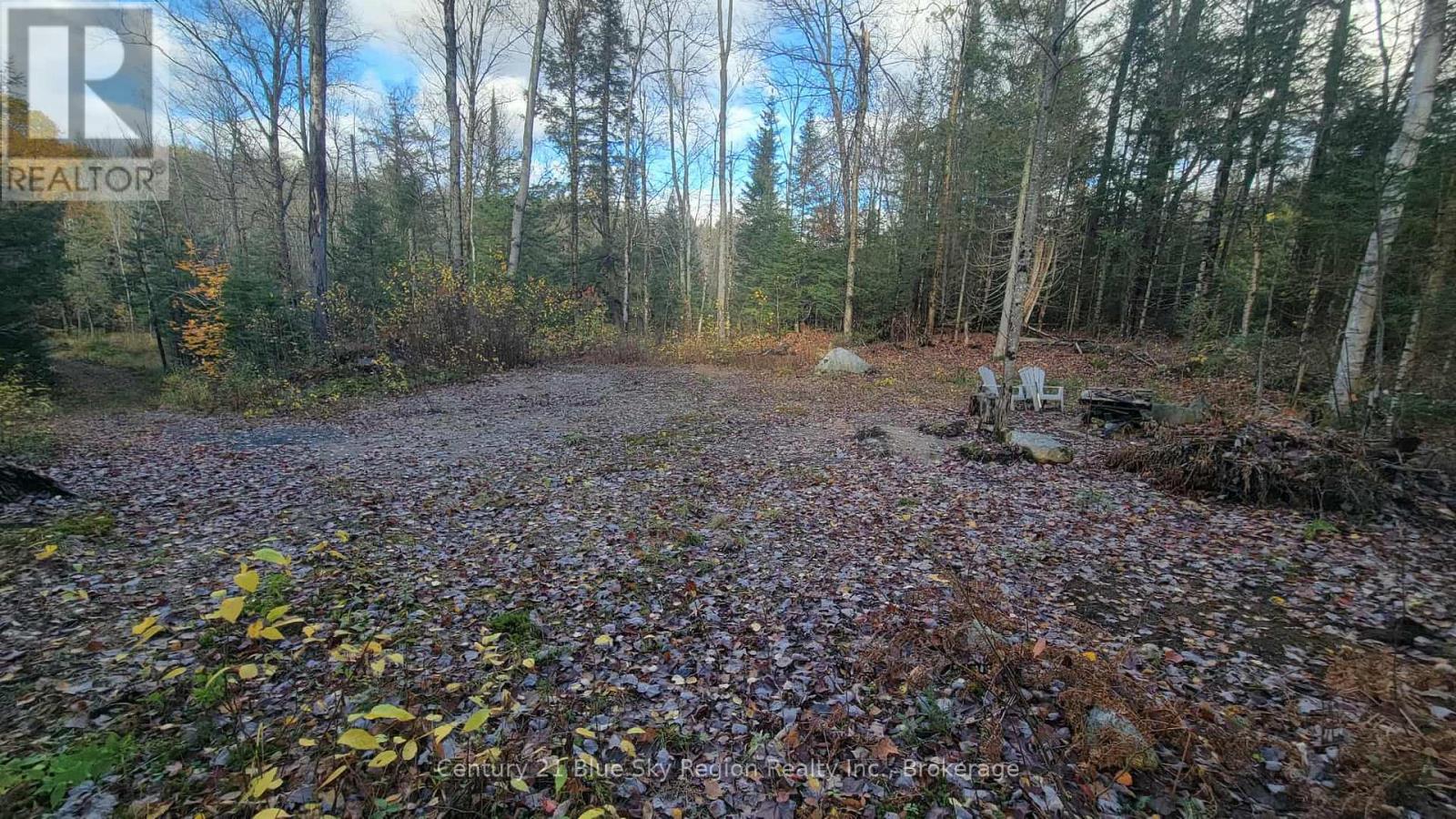 Pt Lt 2 Con 4 Mcfadden Line, Parry Sound Remote Area, Ontario  P0H 2L0 - Photo 13 - X12485719