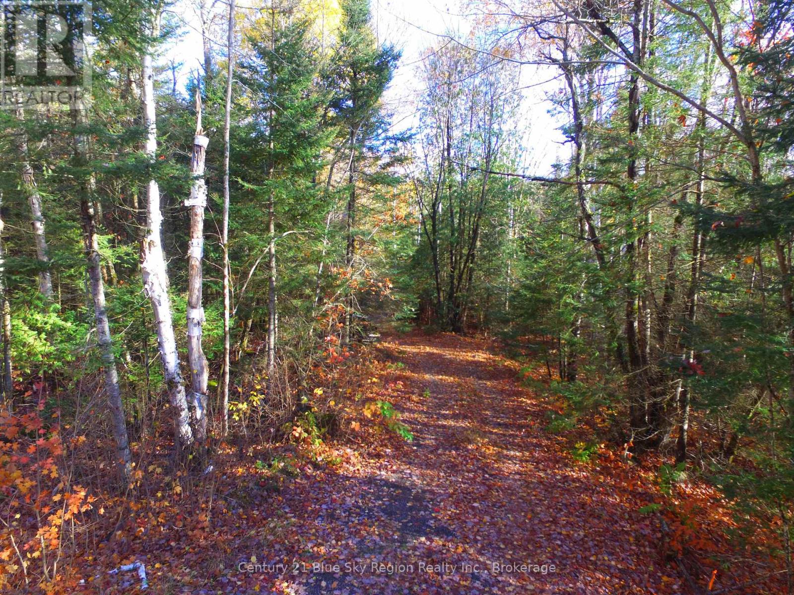 Pt Lt 2 Con 4 Mcfadden Line, Parry Sound Remote Area, Ontario  P0H 2L0 - Photo 2 - X12485719