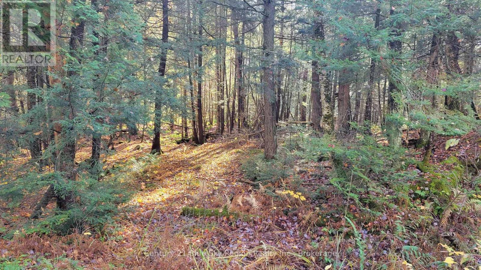 Pt Lt 2 Con 4 Mcfadden Line, Parry Sound Remote Area, Ontario  P0H 2L0 - Photo 17 - X12485719