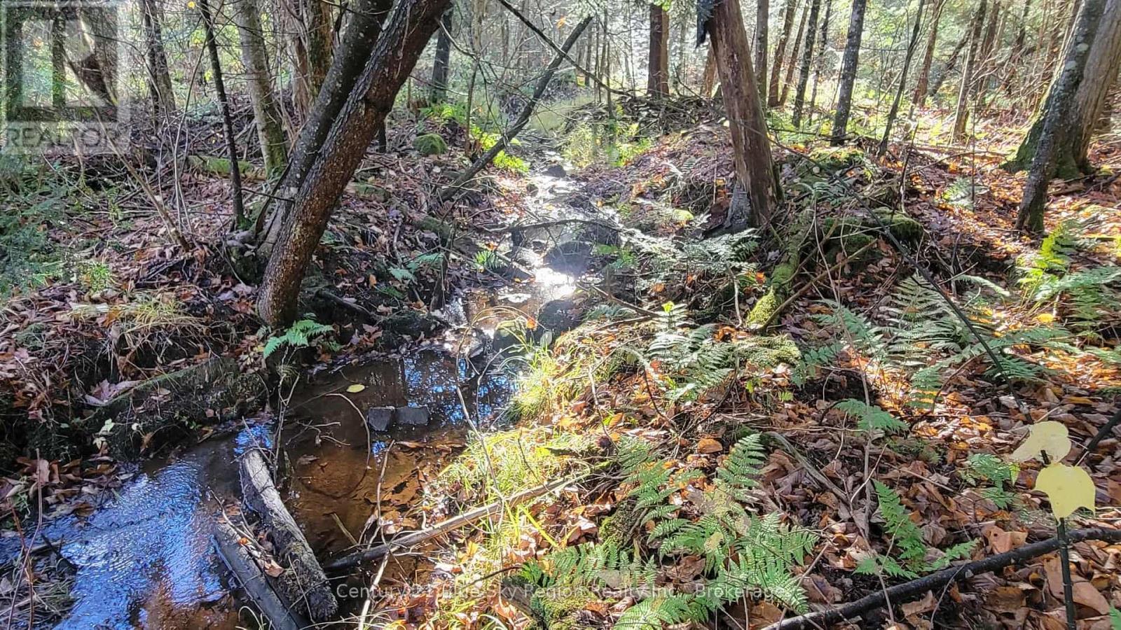 Pt Lt 2 Con 4 Mcfadden Line, Parry Sound Remote Area, Ontario  P0H 2L0 - Photo 15 - X12485719