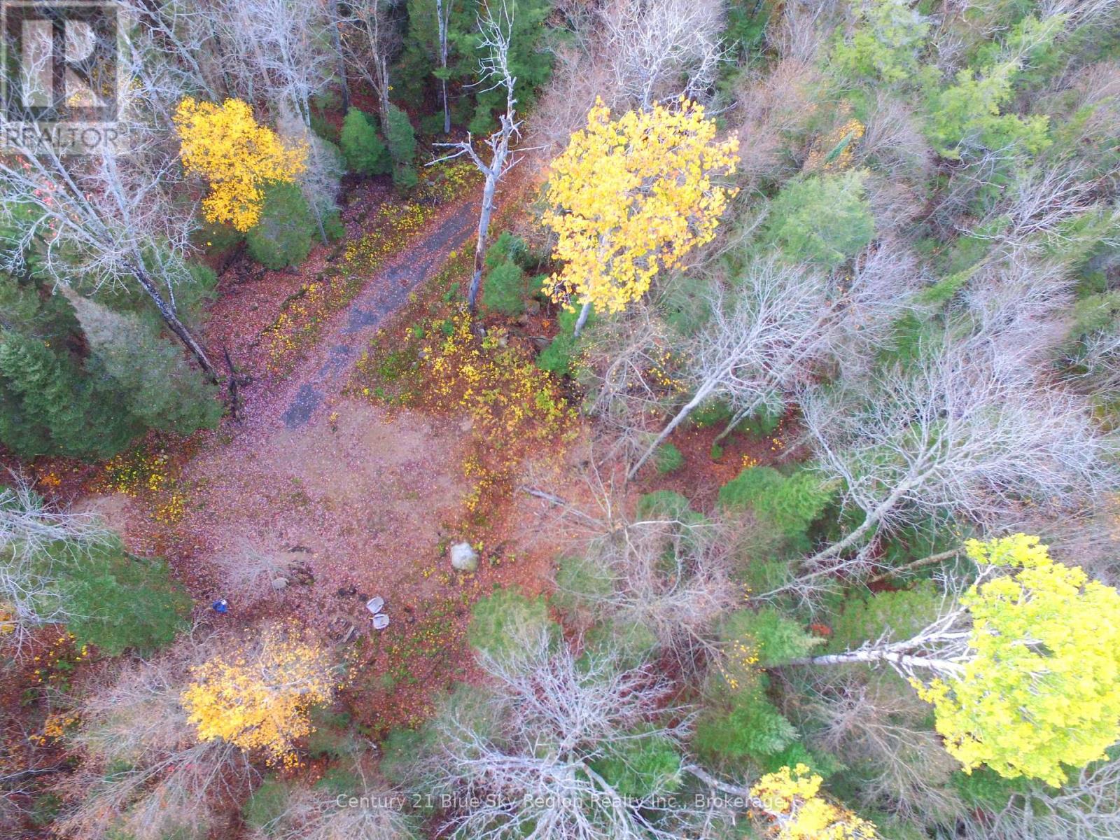 Pt Lt 2 Con 4 Mcfadden Line, Parry Sound Remote Area, Ontario  P0H 2L0 - Photo 7 - X12485719