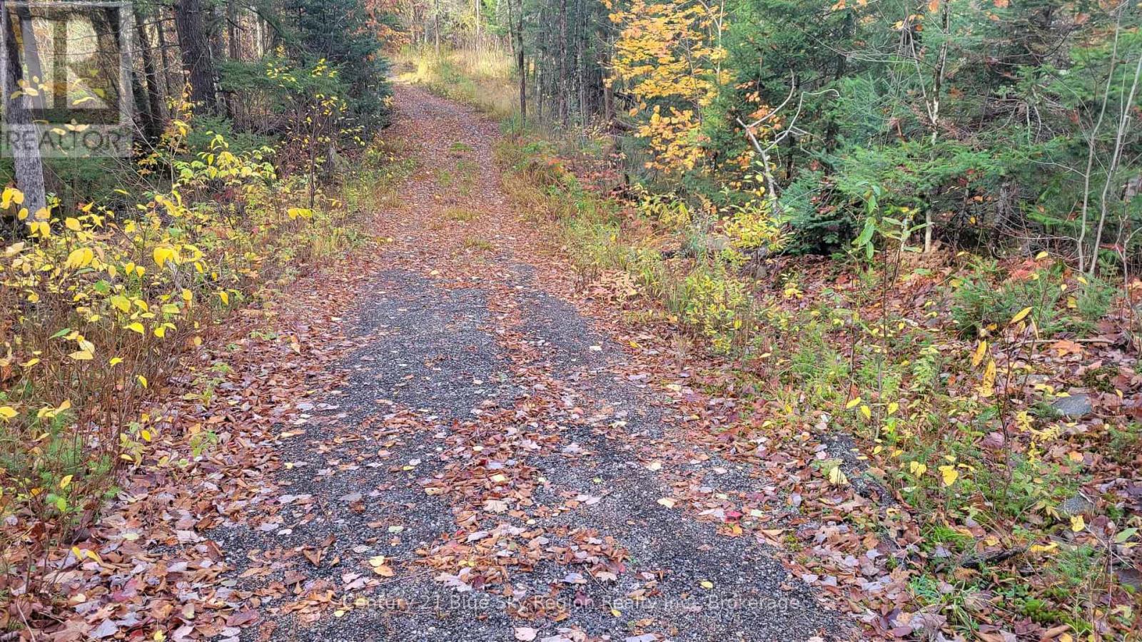 Pt Lt 2 Con 4 Mcfadden Line, Parry Sound Remote Area, Ontario  P0H 2L0 - Photo 9 - X12485719