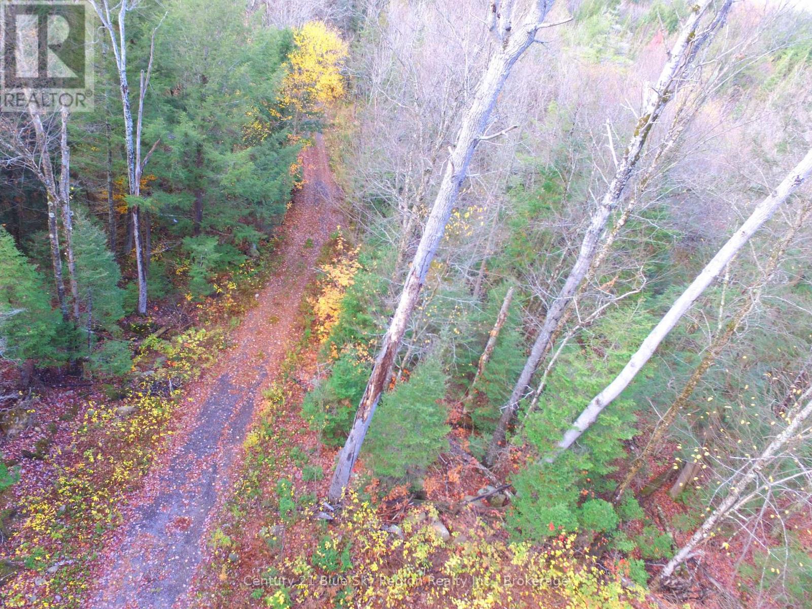 Pt Lt 2 Con 4 Mcfadden Line, Parry Sound Remote Area, Ontario  P0H 2L0 - Photo 8 - X12485719