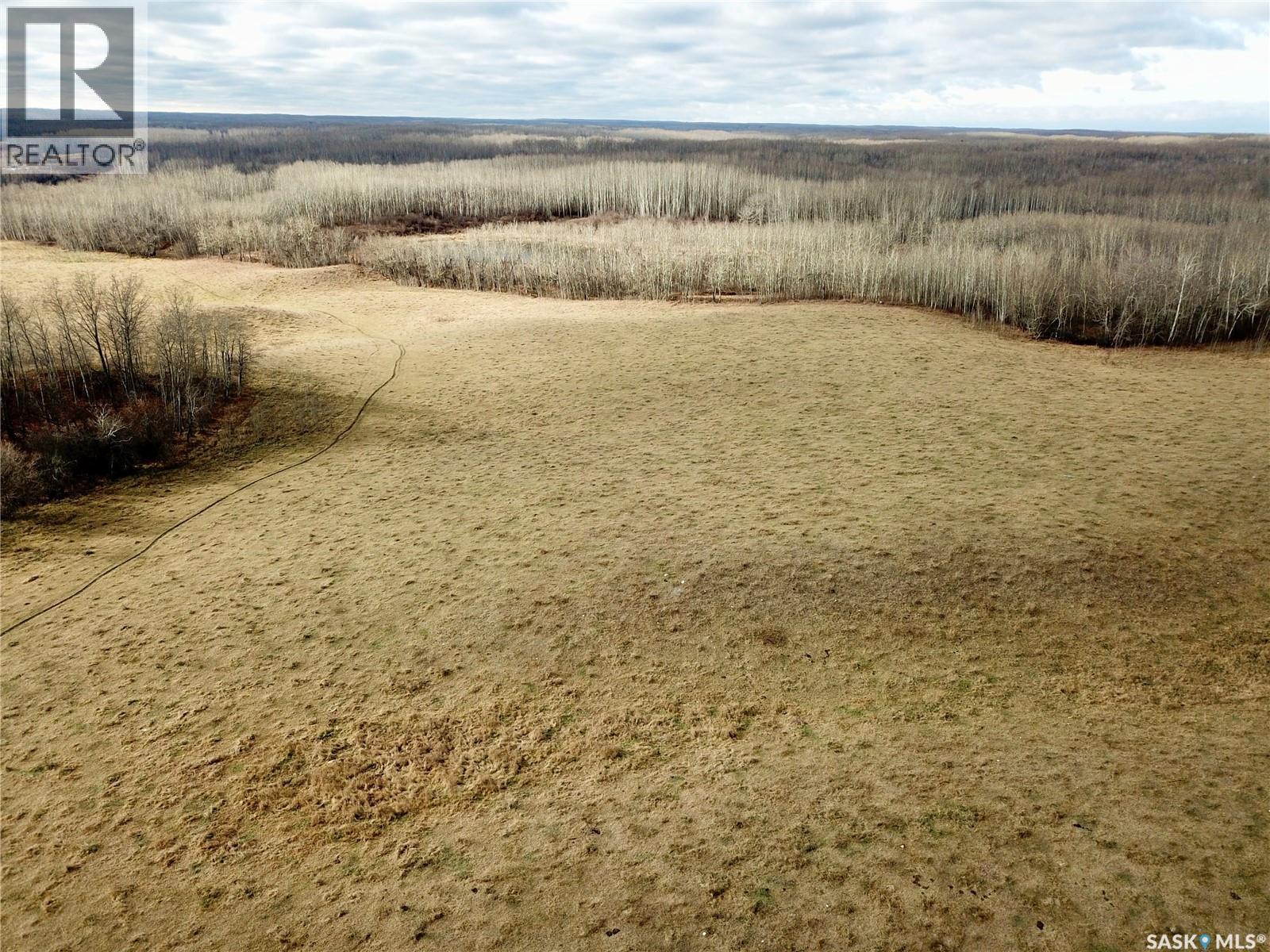 Shell Lake Pasture Quarter, Spiritwood Rm No. 496, Saskatchewan  S0J 2G0 - Photo 10 - SK021824