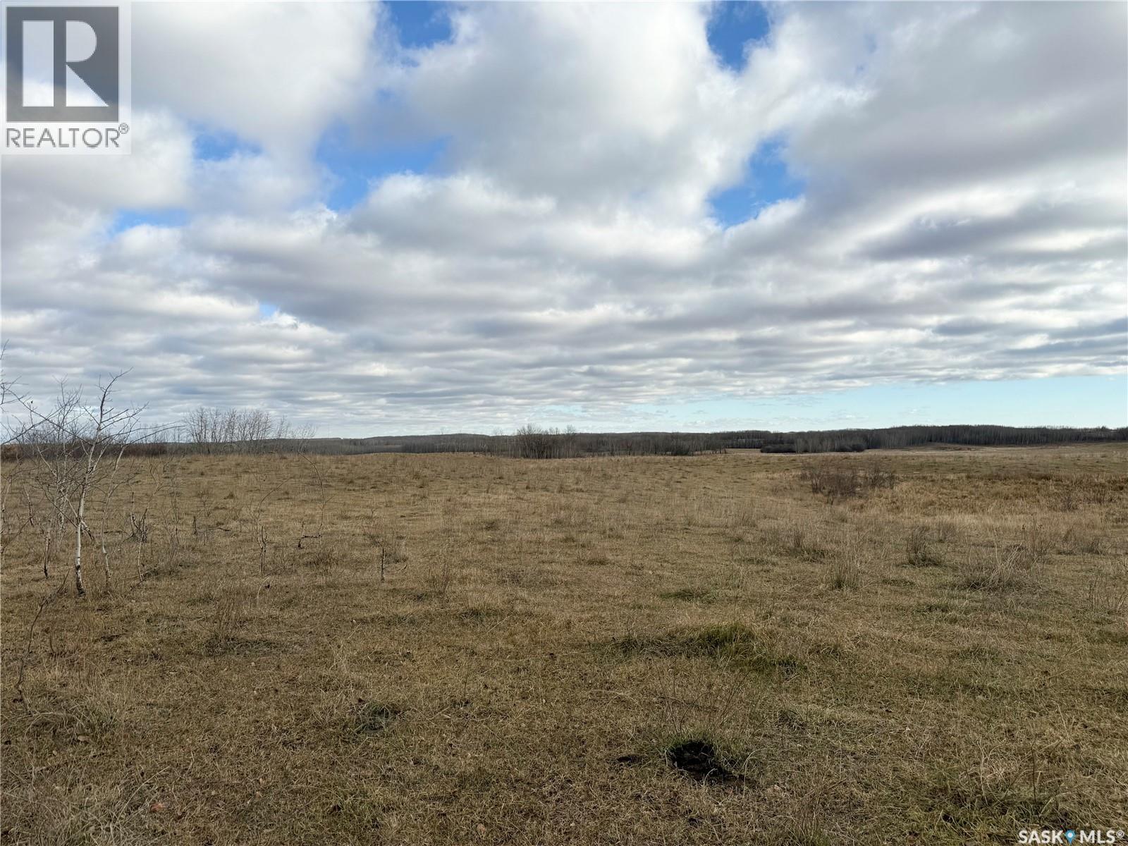 Shell Lake Pasture Quarter, Spiritwood Rm No. 496, Saskatchewan  S0J 2G0 - Photo 17 - SK021824