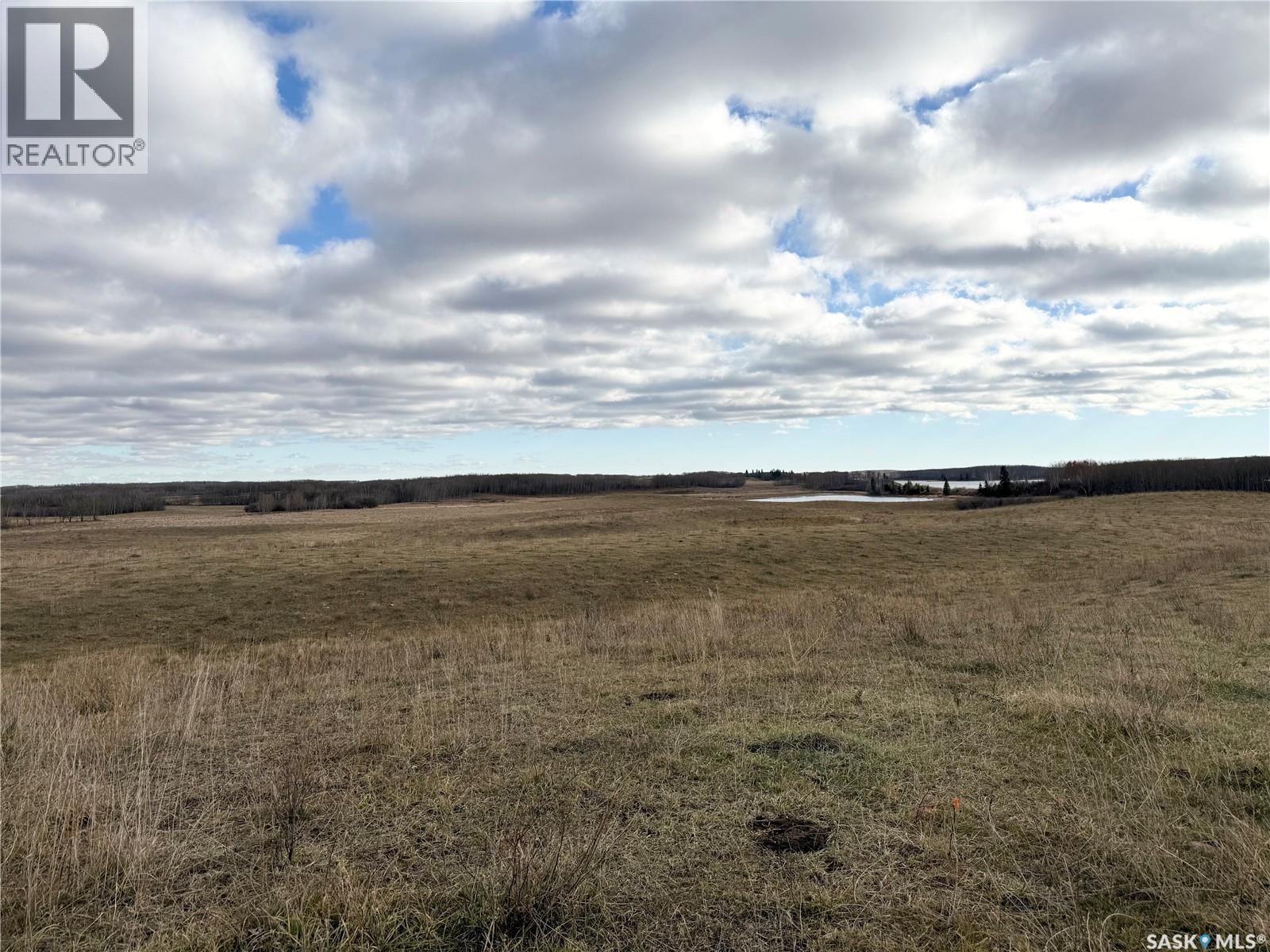 Shell Lake Pasture Quarter, Spiritwood Rm No. 496, Saskatchewan  S0J 2G0 - Photo 18 - SK021824