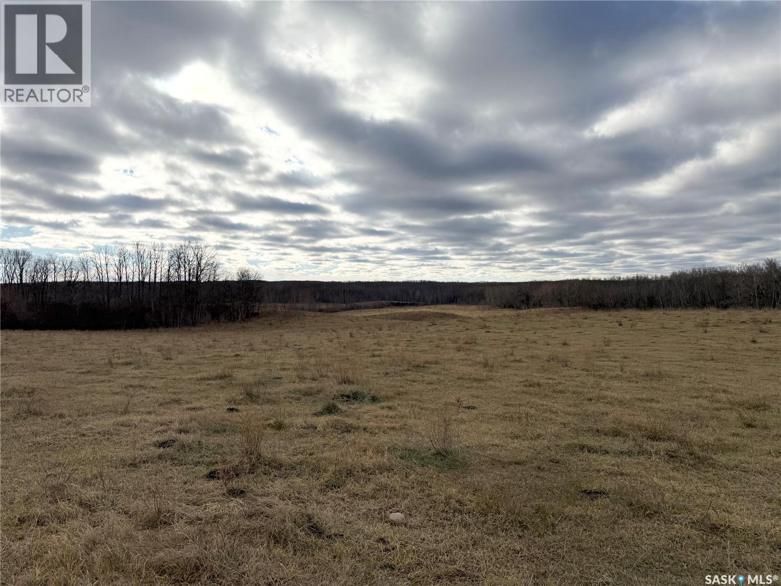 Shell Lake Pasture Quarter, Spiritwood Rm No. 496, Saskatchewan  S0J 2G0 - Photo 19 - SK021824