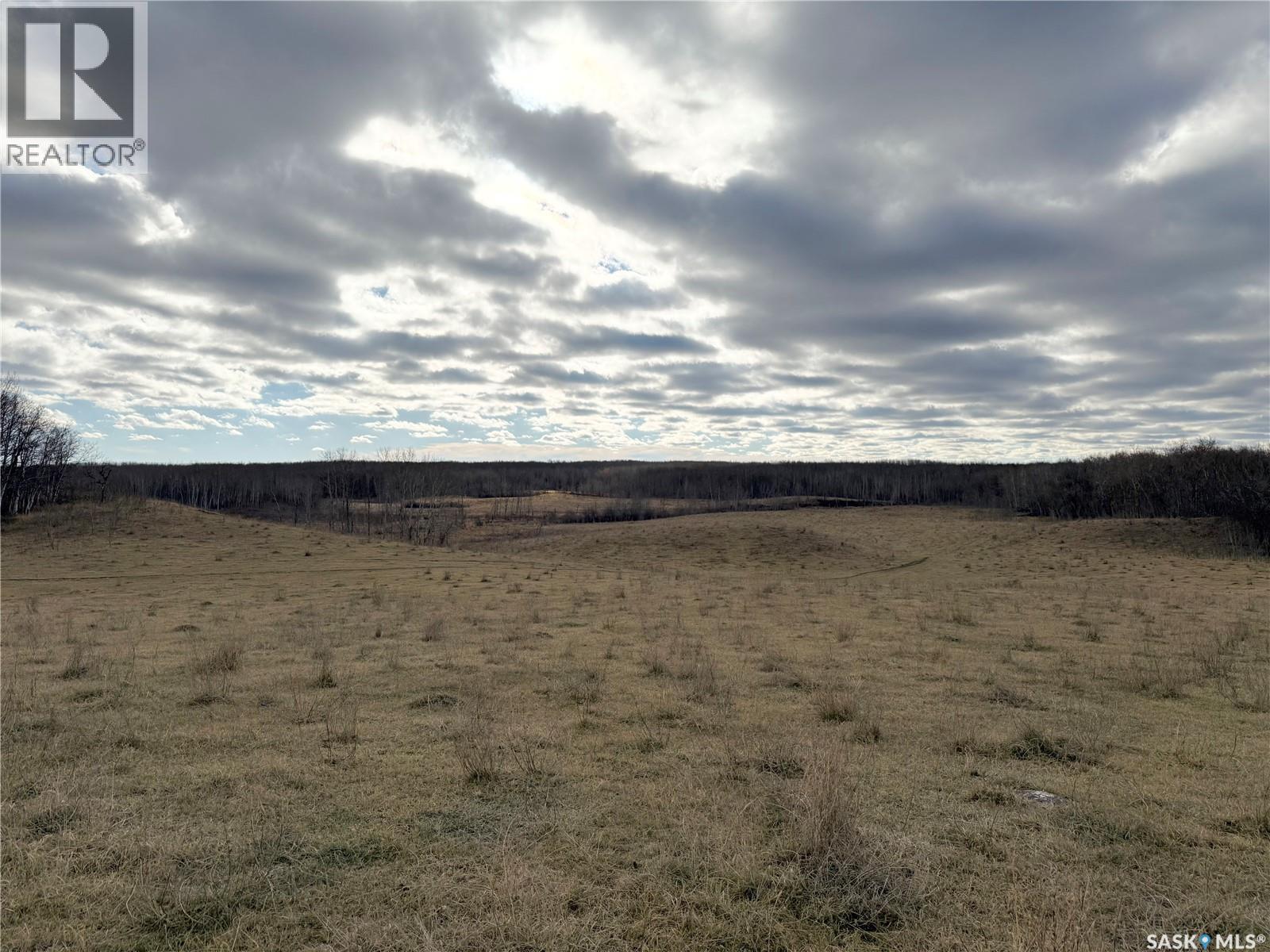 Shell Lake Pasture Quarter, Spiritwood Rm No. 496, Saskatchewan  S0J 2G0 - Photo 20 - SK021824