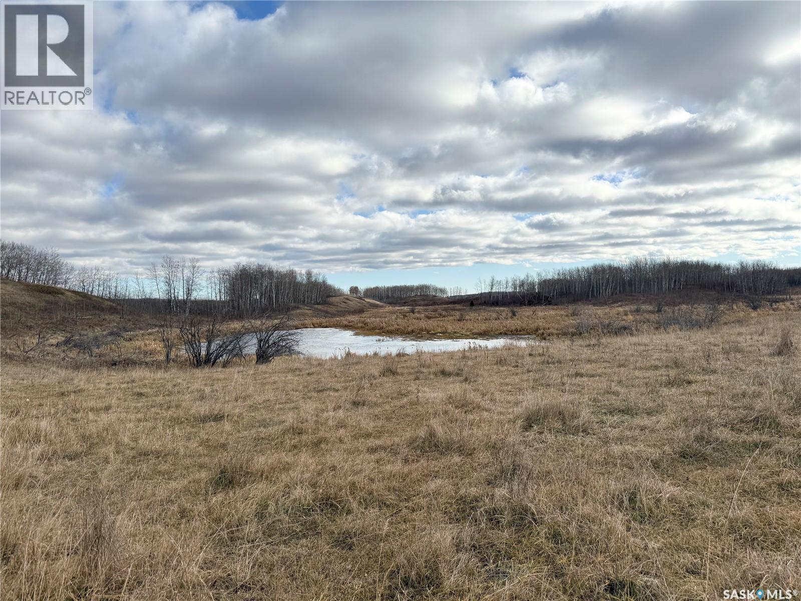 Shell Lake Pasture Quarter, Spiritwood Rm No. 496, Saskatchewan  S0J 2G0 - Photo 22 - SK021824