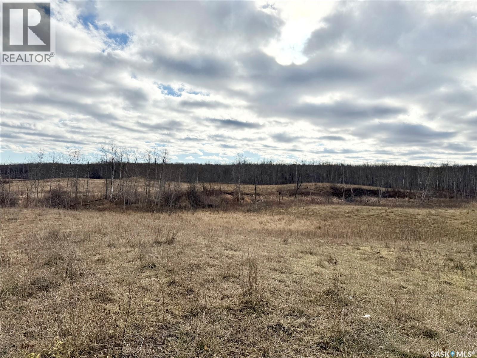 Shell Lake Pasture Quarter, Spiritwood Rm No. 496, Saskatchewan  S0J 2G0 - Photo 23 - SK021824
