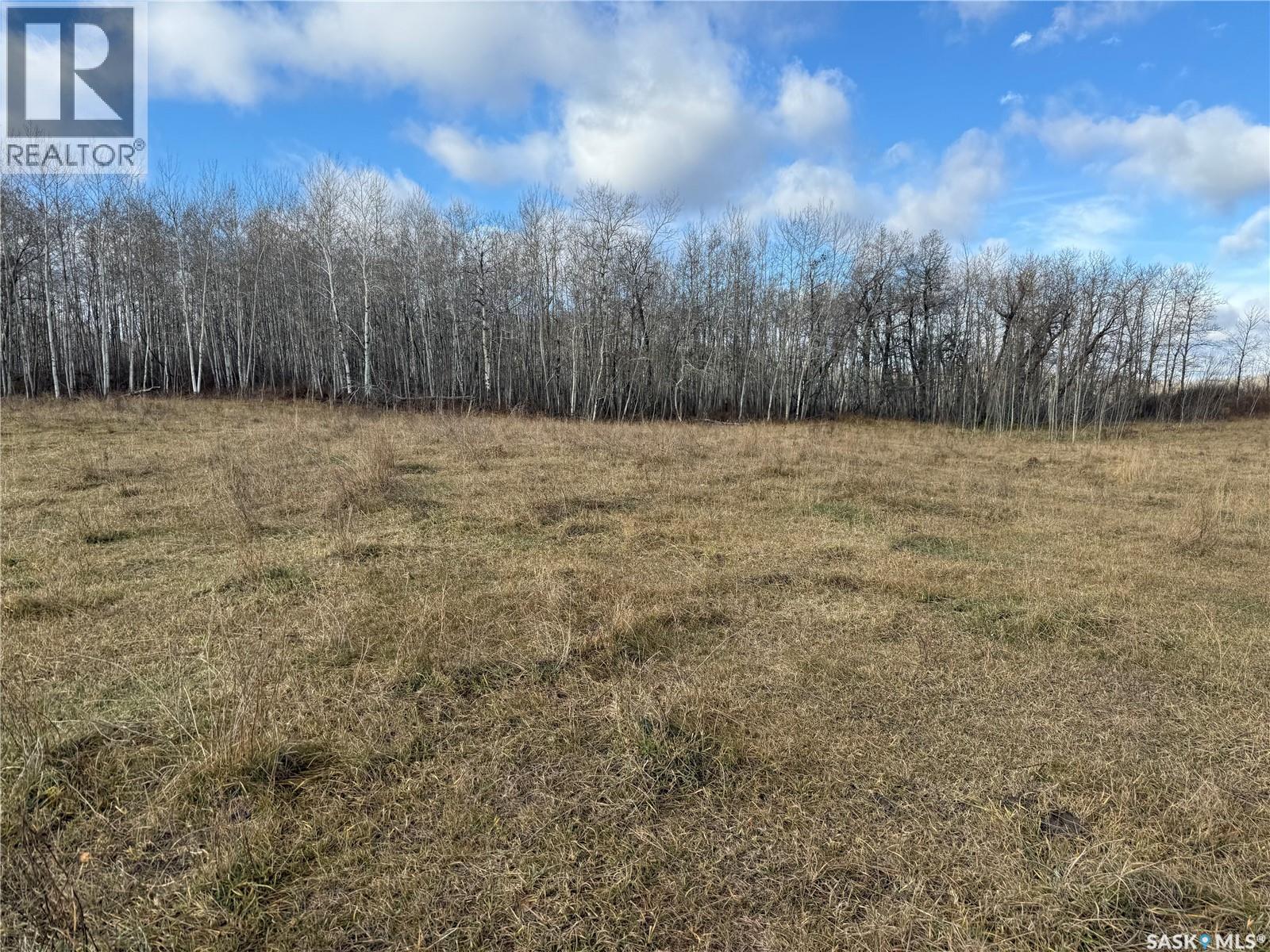 Shell Lake Pasture Quarter, Spiritwood Rm No. 496, Saskatchewan  S0J 2G0 - Photo 24 - SK021824