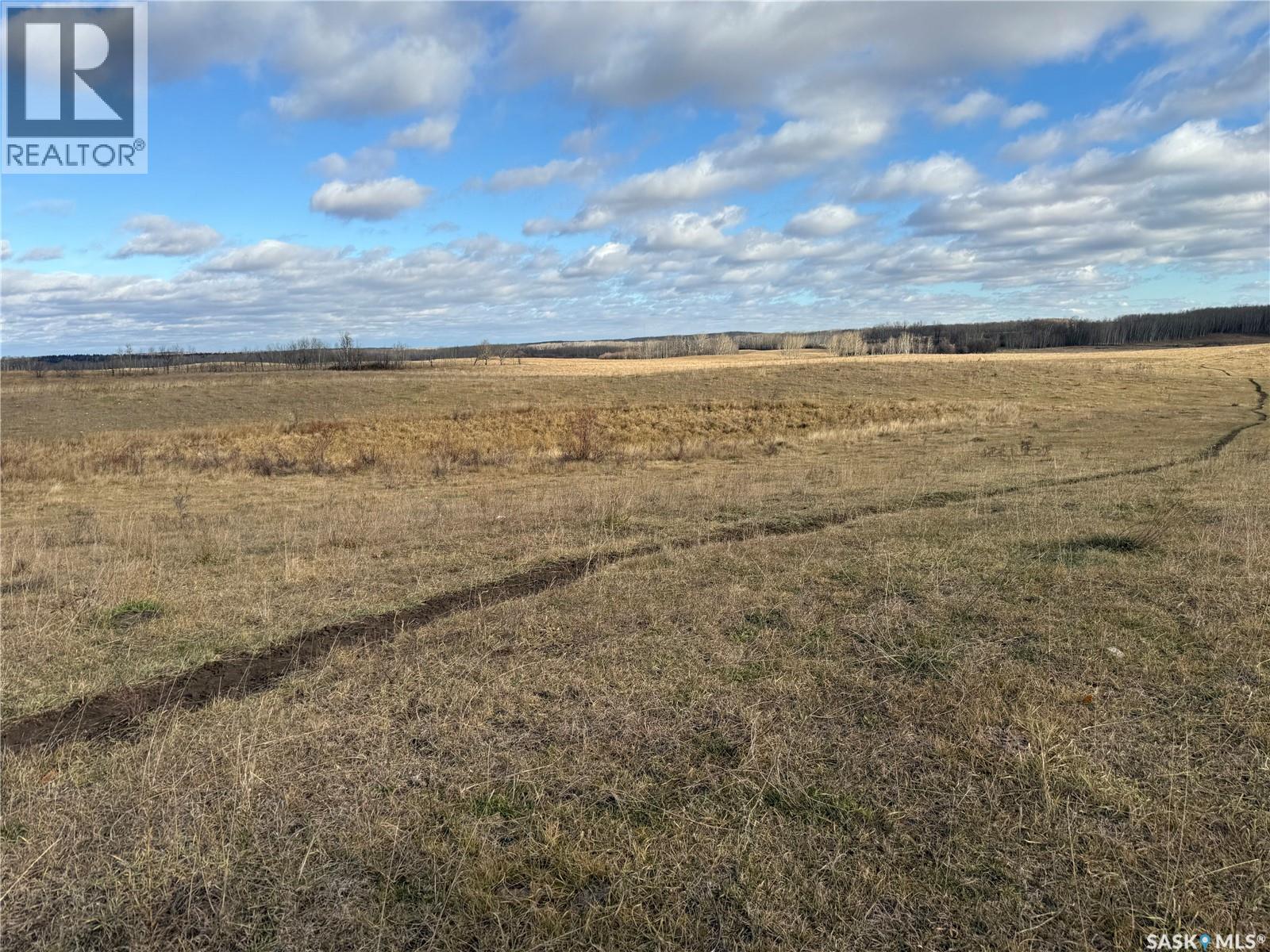 Shell Lake Pasture Quarter, Spiritwood Rm No. 496, Saskatchewan  S0J 2G0 - Photo 25 - SK021824