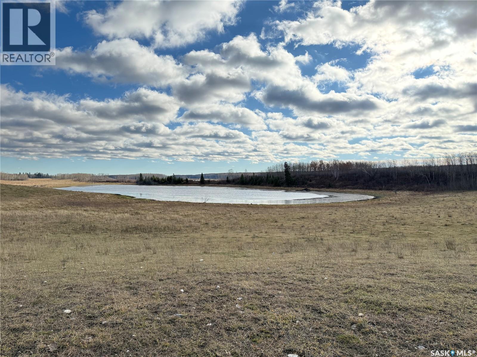 Shell Lake Pasture Quarter, Spiritwood Rm No. 496, Saskatchewan  S0J 2G0 - Photo 26 - SK021824