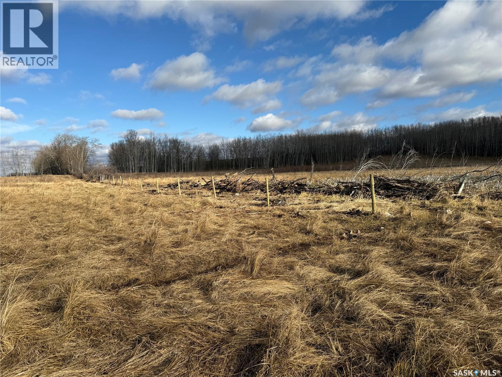 Shell Lake Pasture Quarter, Spiritwood Rm No. 496, Saskatchewan  S0J 2G0 - Photo 28 - SK021824
