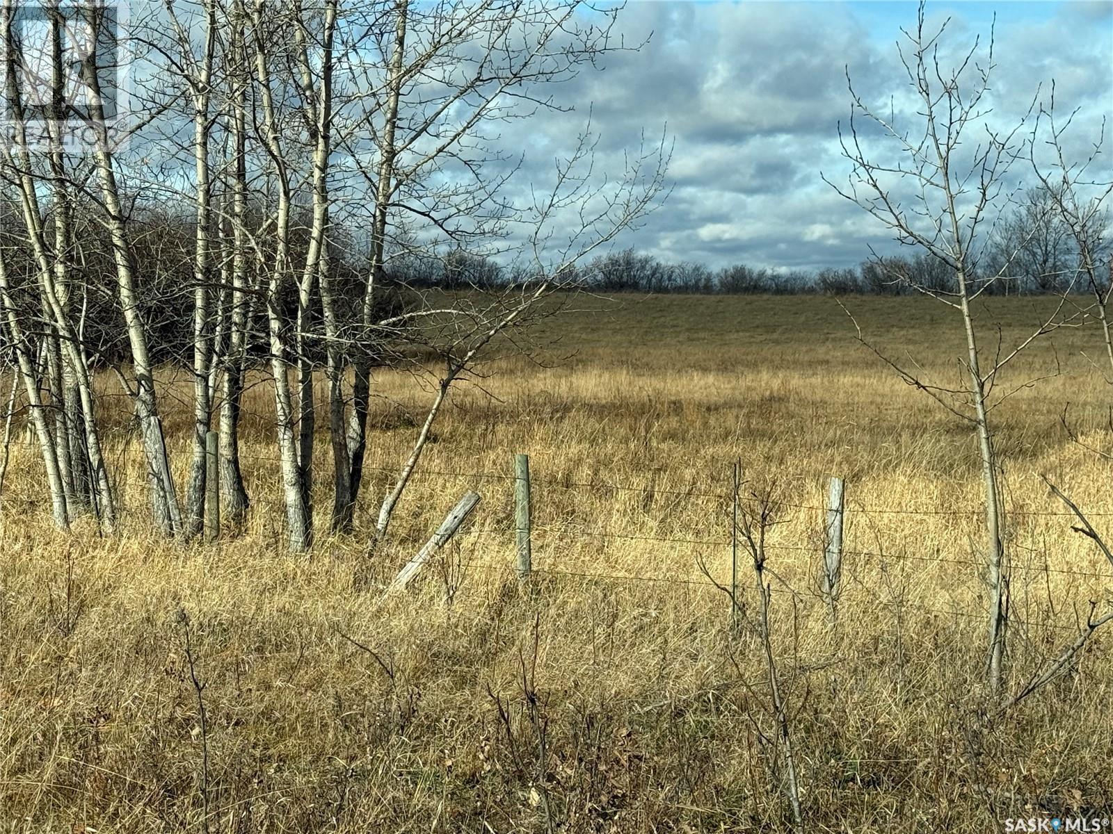 Shell Lake Pasture Quarter, Spiritwood Rm No. 496, Saskatchewan  S0J 2G0 - Photo 29 - SK021824