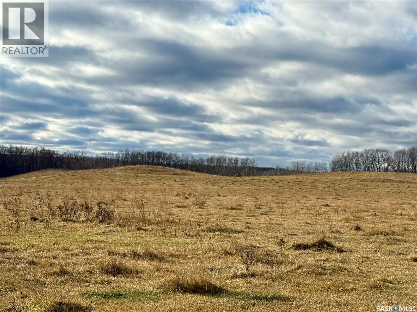 Shell Lake Pasture Quarter, Spiritwood Rm No. 496, Saskatchewan  S0J 2G0 - Photo 31 - SK021824