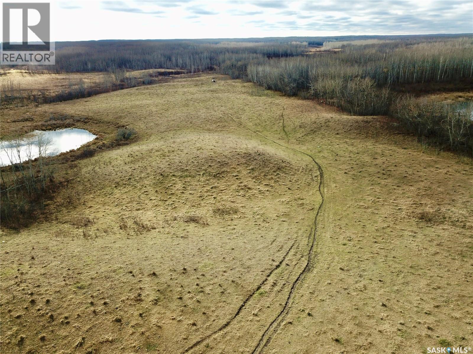 Shell Lake Pasture Quarter, Spiritwood Rm No. 496, Saskatchewan  S0J 2G0 - Photo 7 - SK021824