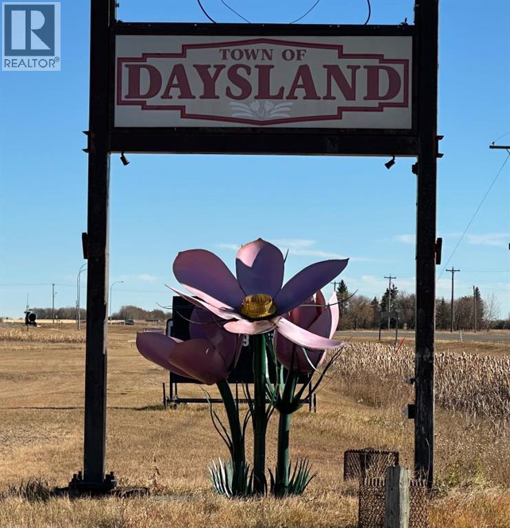 4601 50 Avenue, Daysland, Alberta  T0B 1A0 - Photo 43 - A2266837