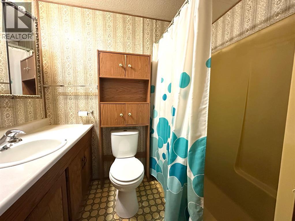 4601 50 Avenue, Daysland, Alberta  T0B 1A0 - Photo 17 - A2266837