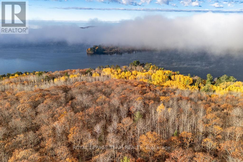 00 Highway 62 Highway, Madawaska Valley, Ontario  K0J 2M0 - Photo 19 - X12485807